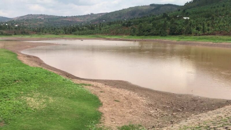 Abahinzi b’umuceri ba Gatsibo bavuga ko bafite ikibazo cy’uko urugomero rwuzuyemo umucanga,bakaba bavuga ko ibi birimo kubateza igihombo.