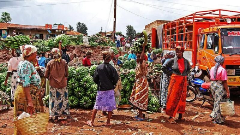 Tanzania yahagaritse ibicuruzwa bikomoka ku buhinzi biva muri Malawi na Afurika y’Epfo