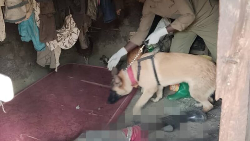 Yatawe muri yombi akekwaho kwica umusaza w’imyaka 65 nyuma y’igikorwa cyihariye cyifashishije imbwa za Polisi