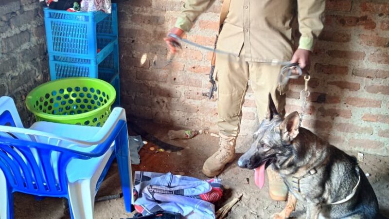 Uganda: Polisi Yifashishije Imbwa ya K-9 Ikurikirana Umujura Igaruza Ibintu Byari Byibwe